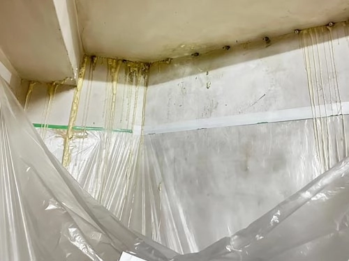 施作前置防護作業